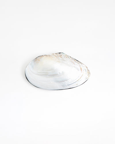 My Sweet Kate Trinket Box - Large / Pearl